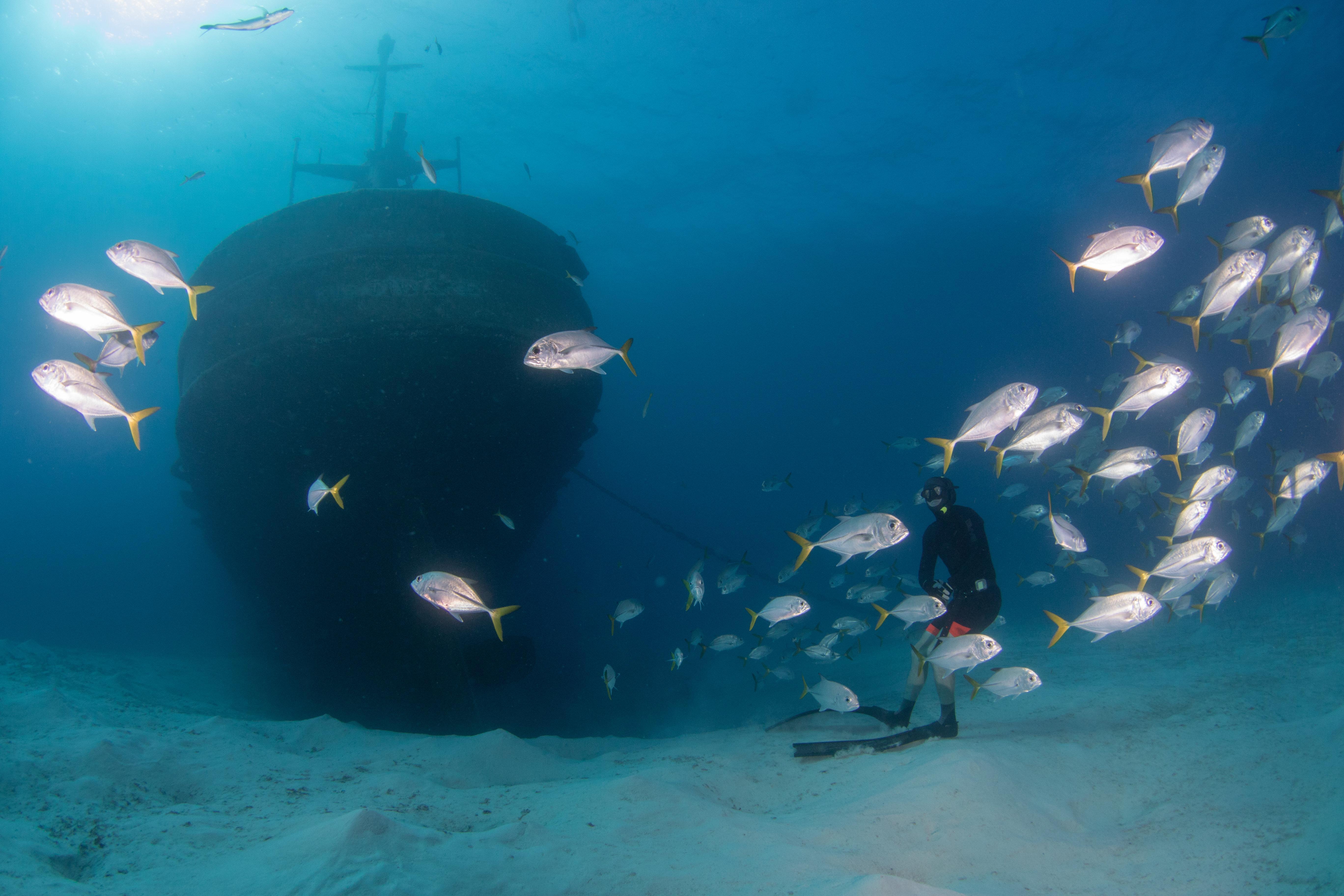 Holiday Grand Cayman By Ihg (adults Only) 3* West Bay