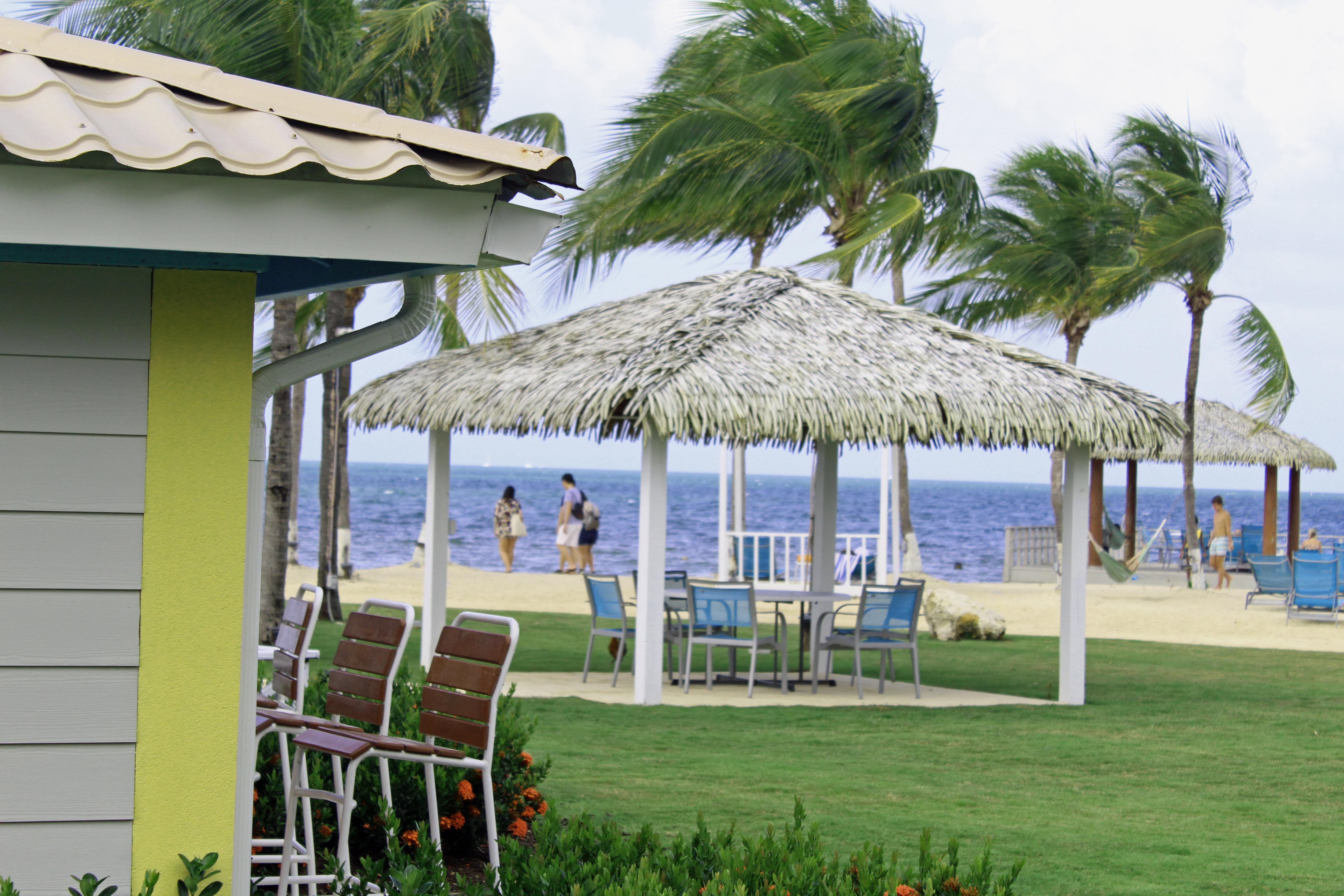 Holiday Grand Cayman By Ihg (adults Only) Resort 3*