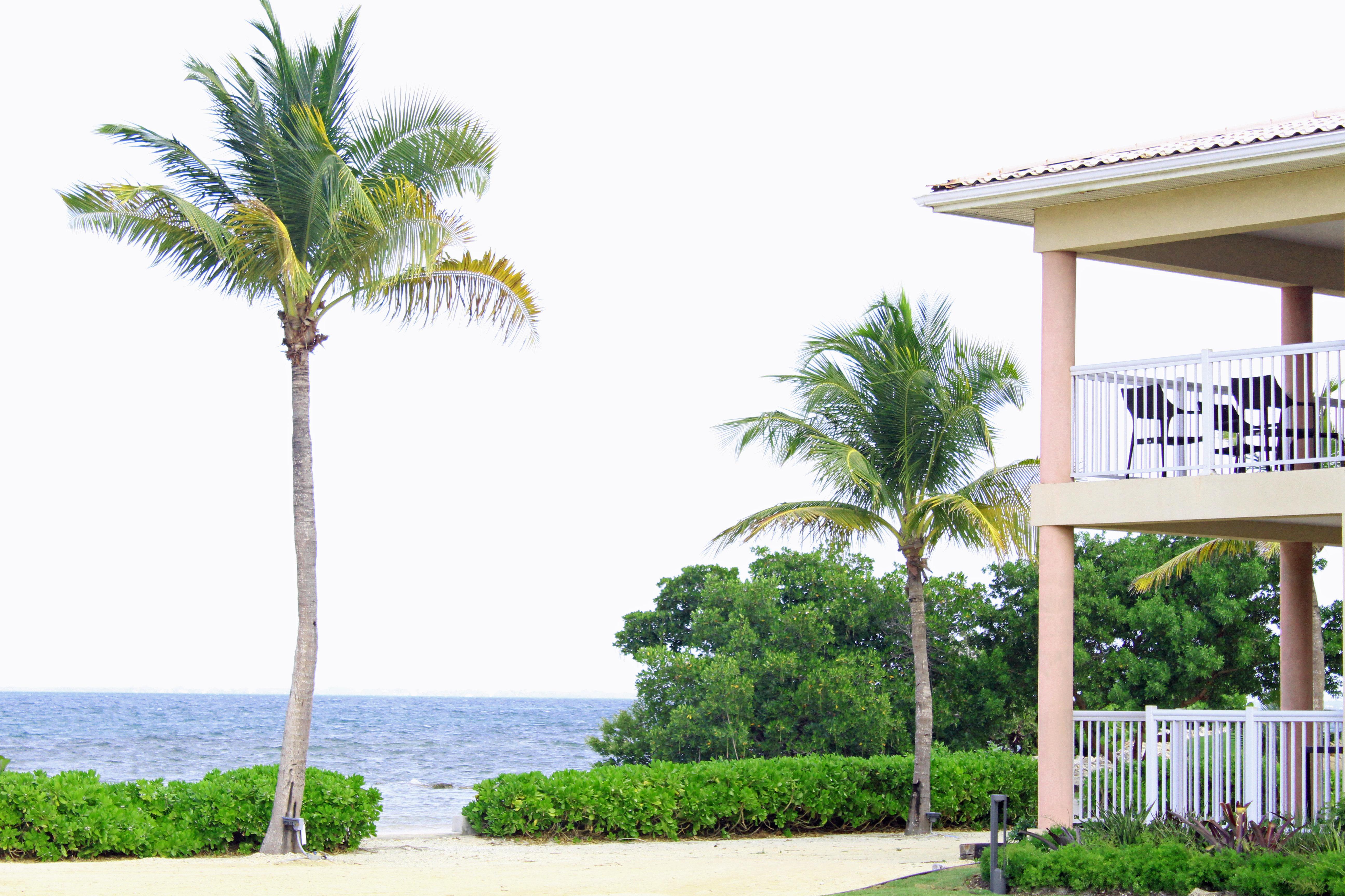Holiday Grand Cayman By Ihg (adults Only) 3*