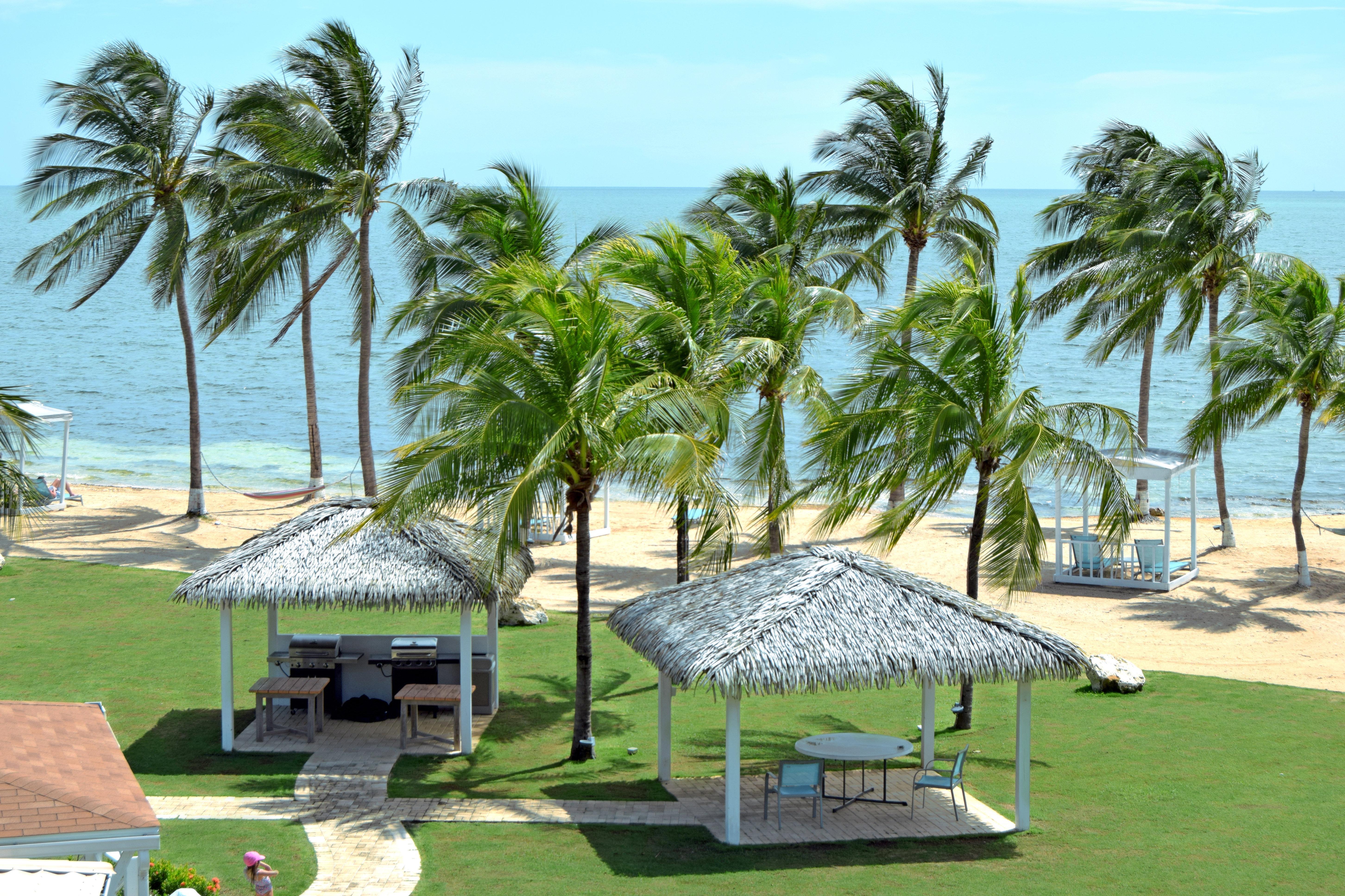 Holiday Grand Cayman By Ihg (adults Only) Resort 3*