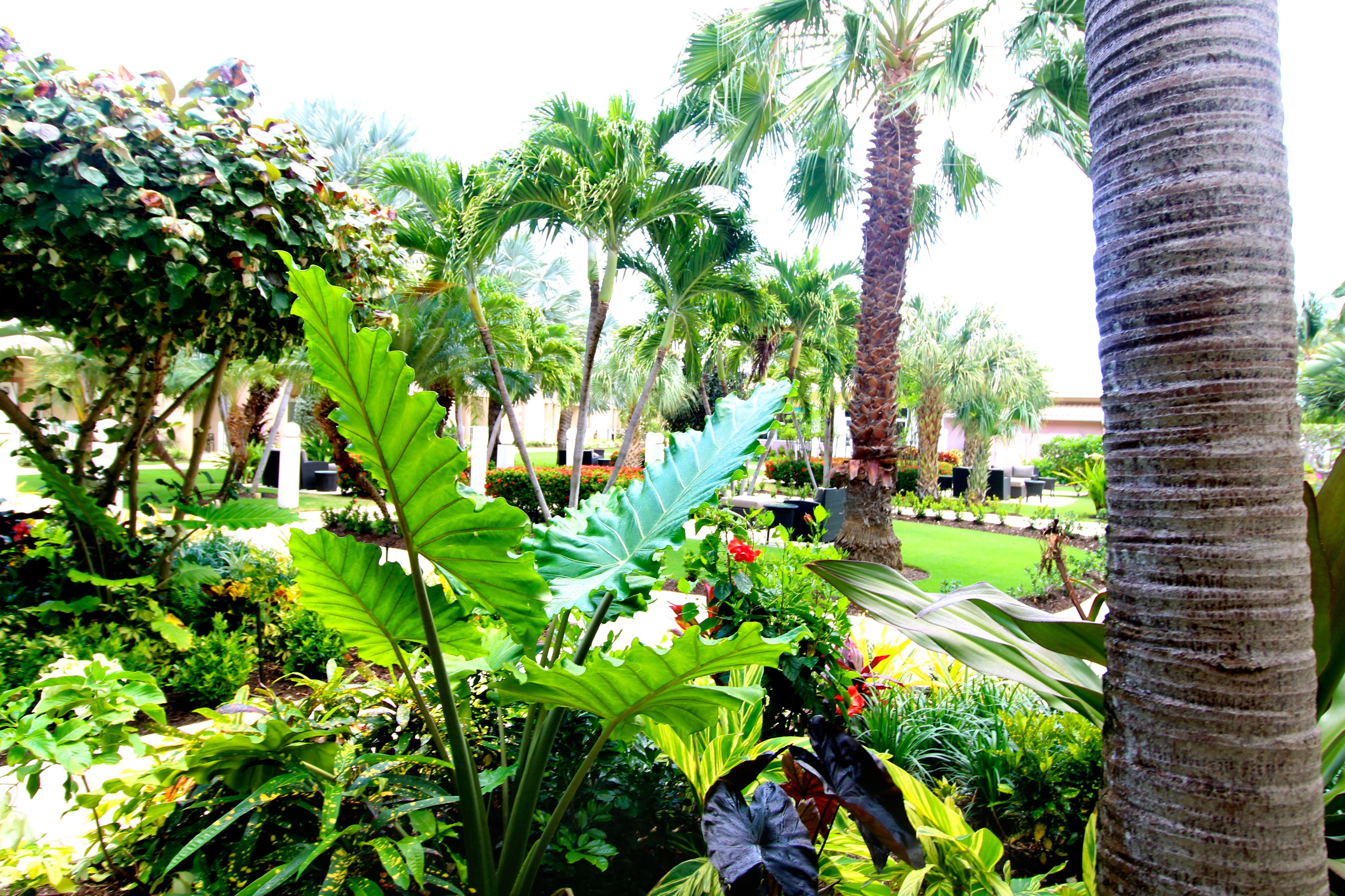 Holiday Grand Cayman By Ihg (adults Only) West Bay