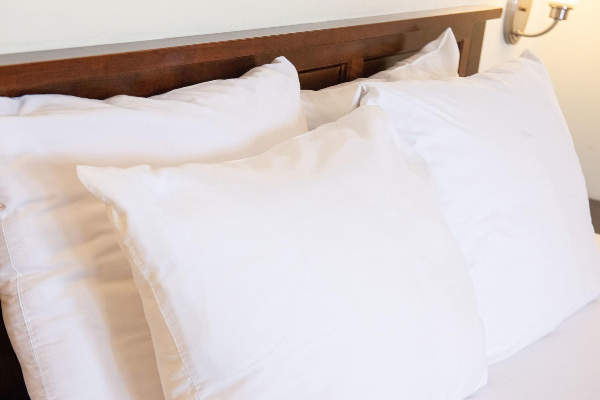 Hotel The Lodgings Hotel Surestay Collection By Best Western 3*