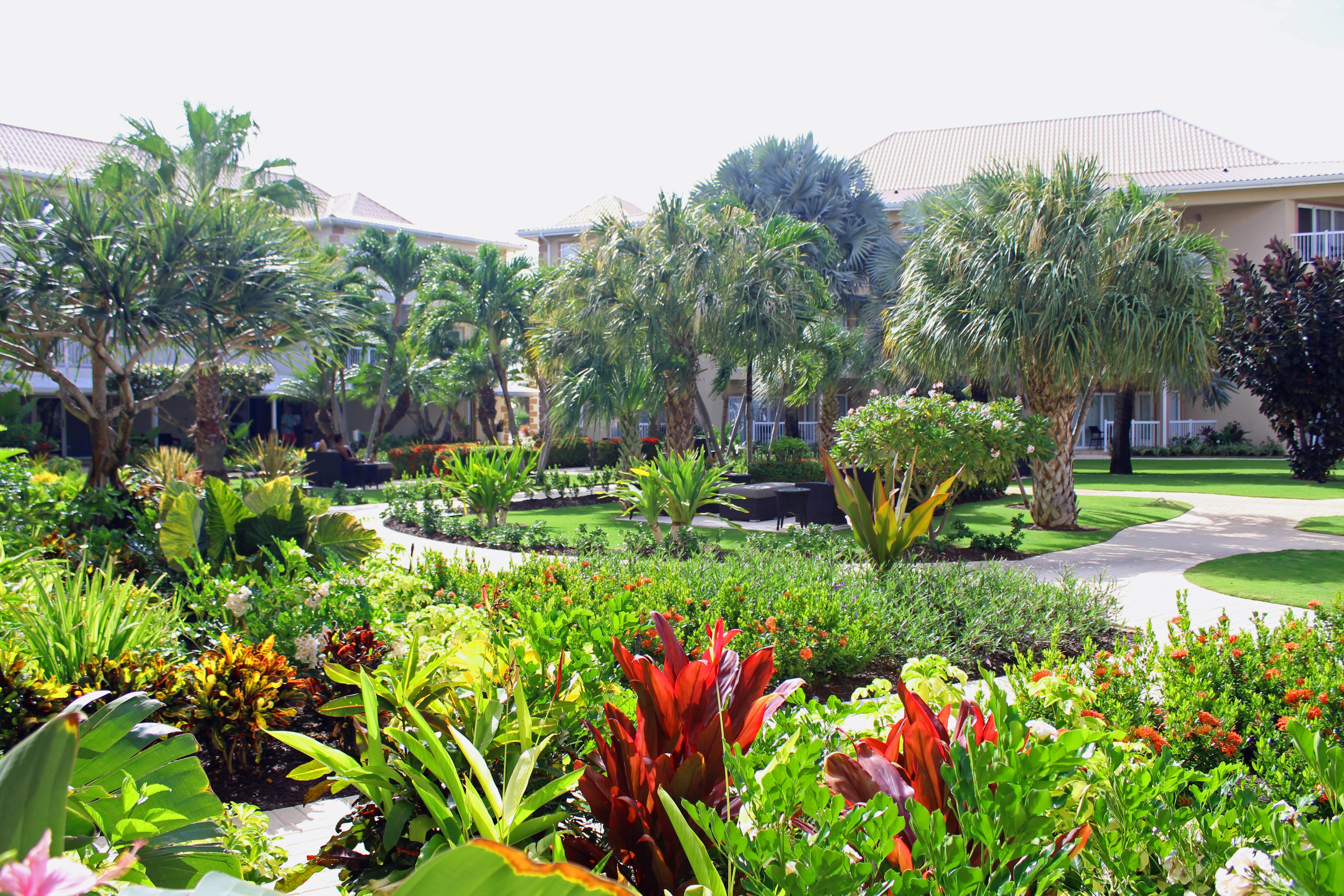 The Grand Caymanian George Town