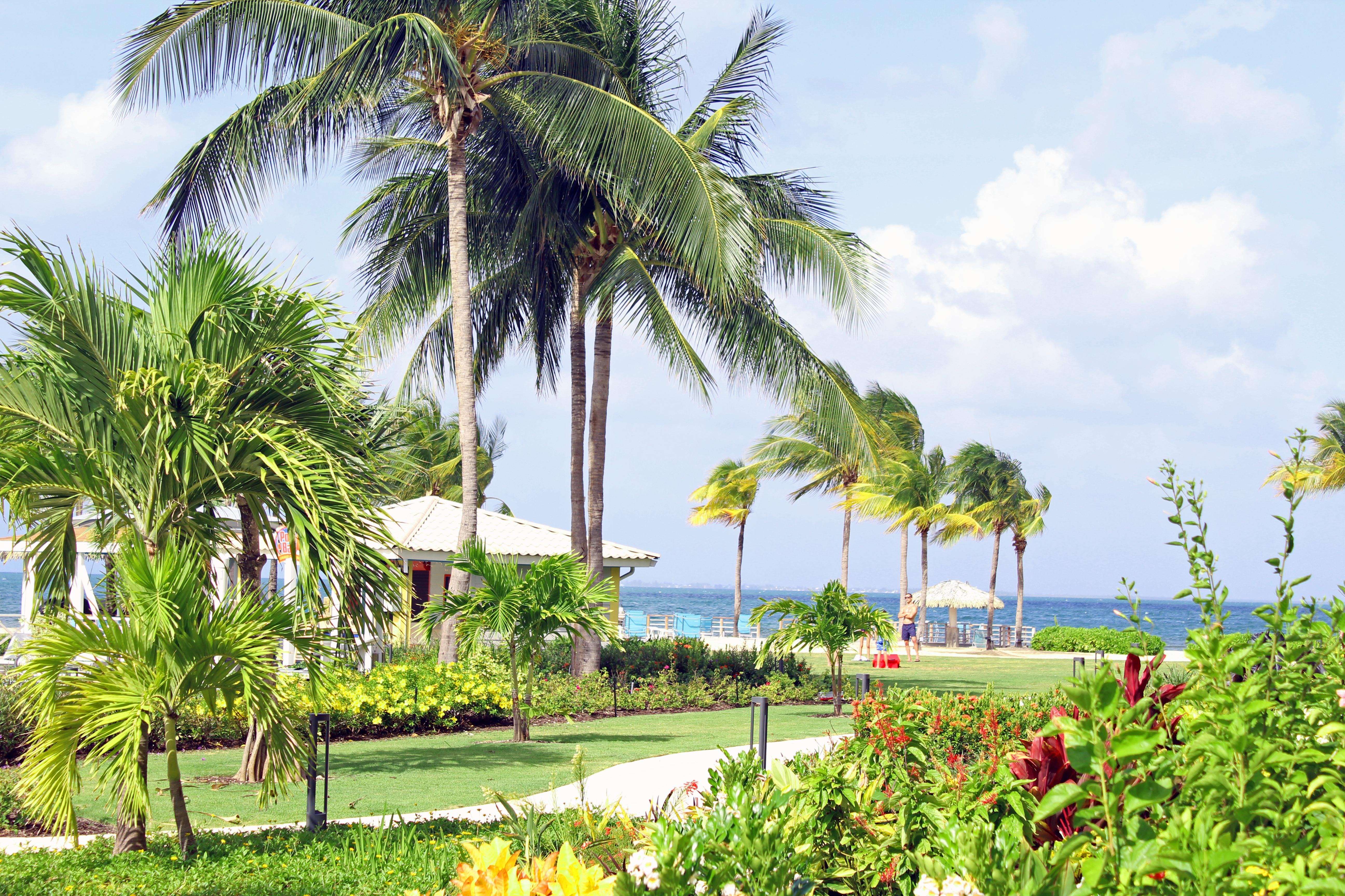 The Grand Caymanian 3* George Town