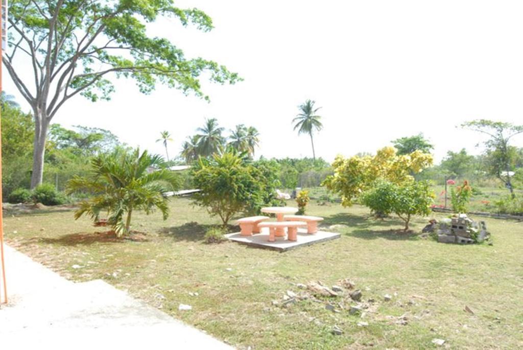 Jgs Tropical Apartment Crown Point