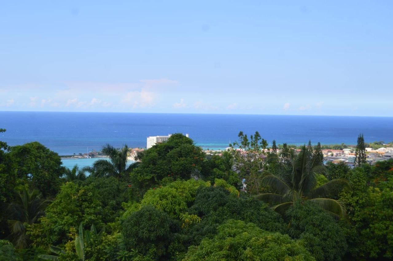 Villa Dianna - Entire Villa, Roof Terrace, Pool, Garden, Sea Views Near Dunn's River