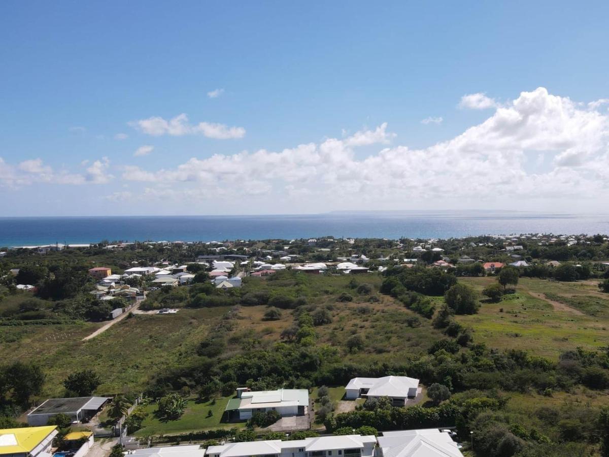 Hotel Guadeloupe Palm 4*