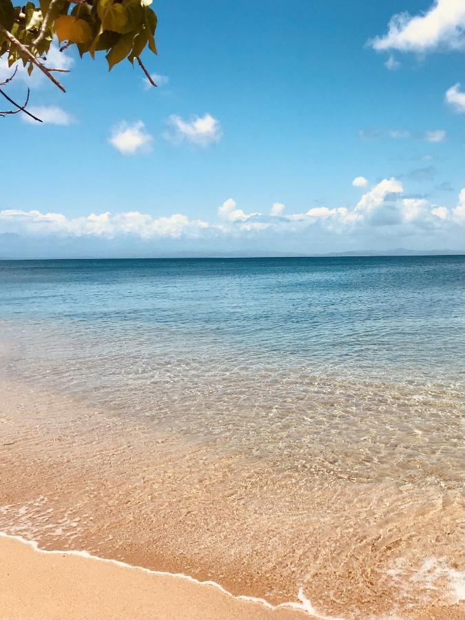 Lejos Eco Retreat Vieques
