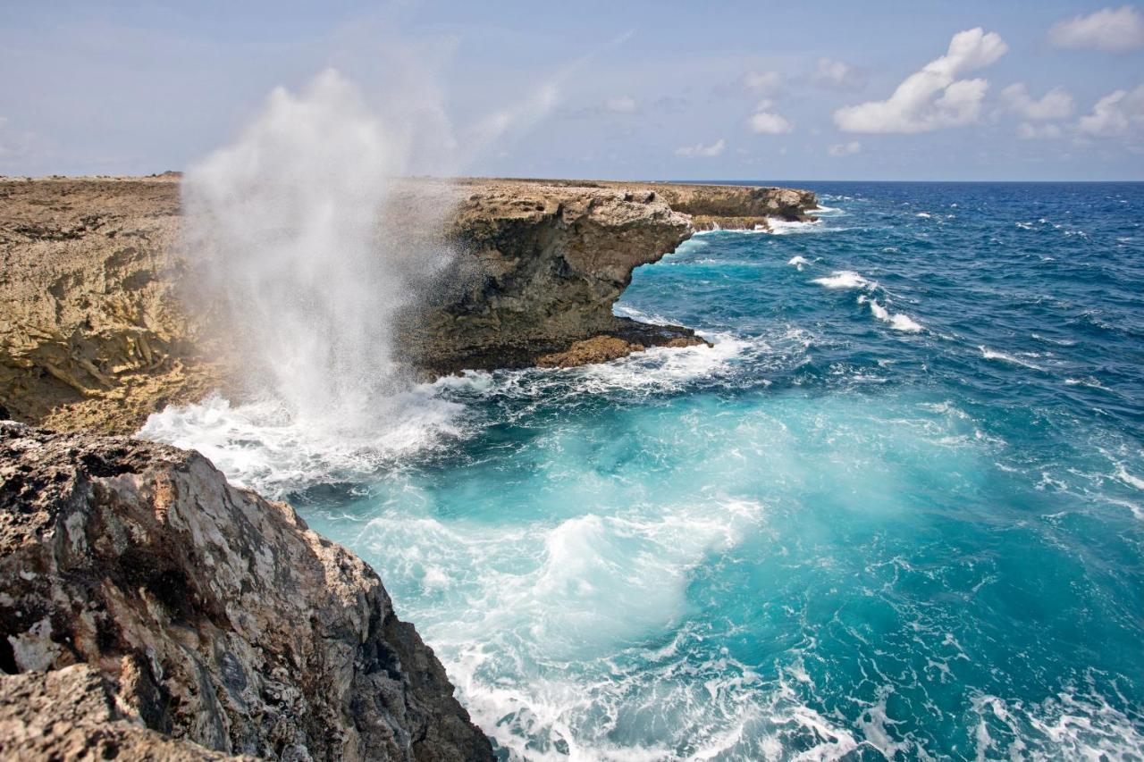 Resort Delfins Bonaire, Tapestry Collection By Hilton