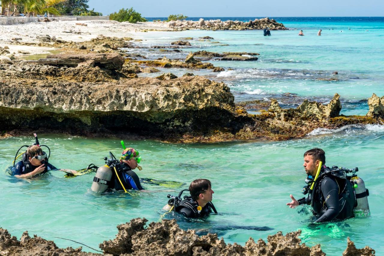 Resort Delfins Bonaire, Tapestry Collection By Hilton 4*