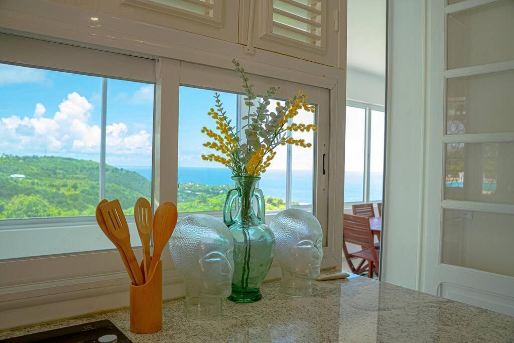 Villa Domaine Des Tourterelles Capesterre