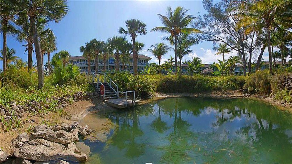 Couples (adults Only) Resort Negril