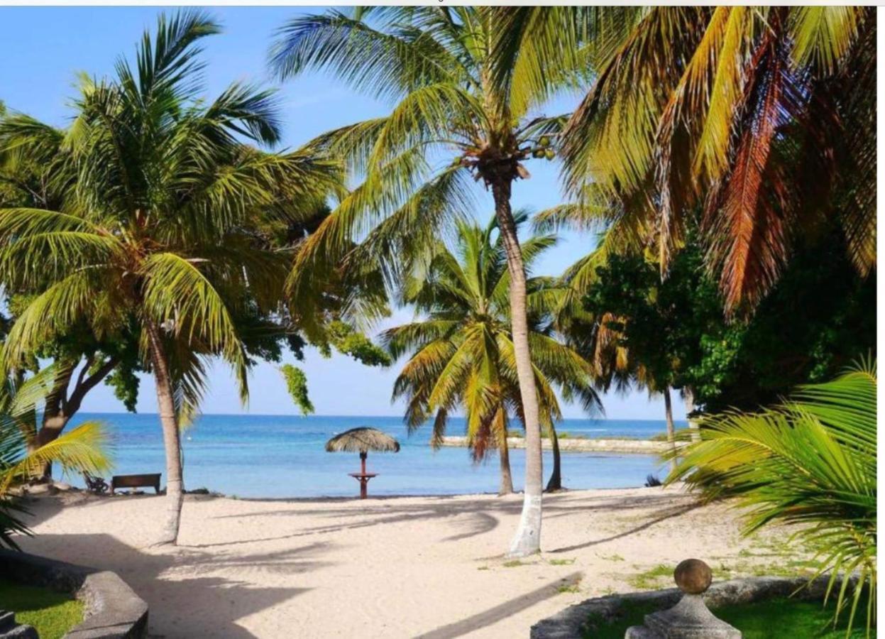 Apartment Brin D'ile Anse Des Rochers Vue A 50 M De La Et Piscine