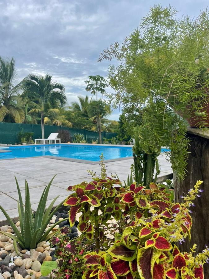 Charmante Maison Avec Jaccuzi Et Piscine *