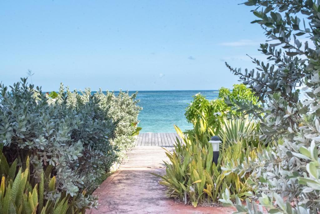 Apartment Pasha - Ocean View Sainte-Anne (Grande-Terre)