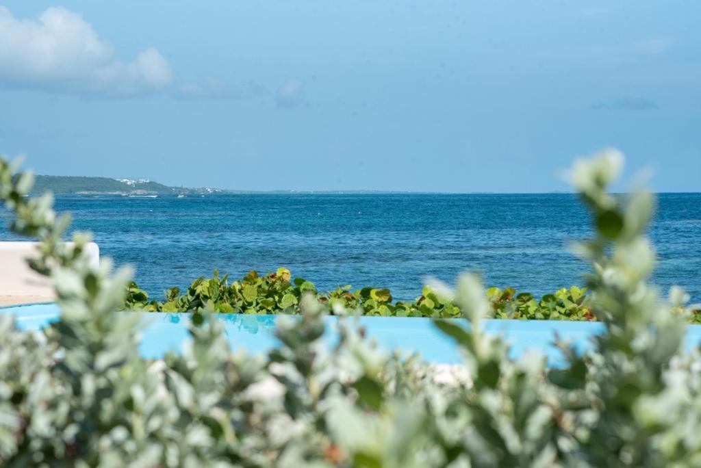 Pasha - Ocean View Sainte-Anne (Grande-Terre)