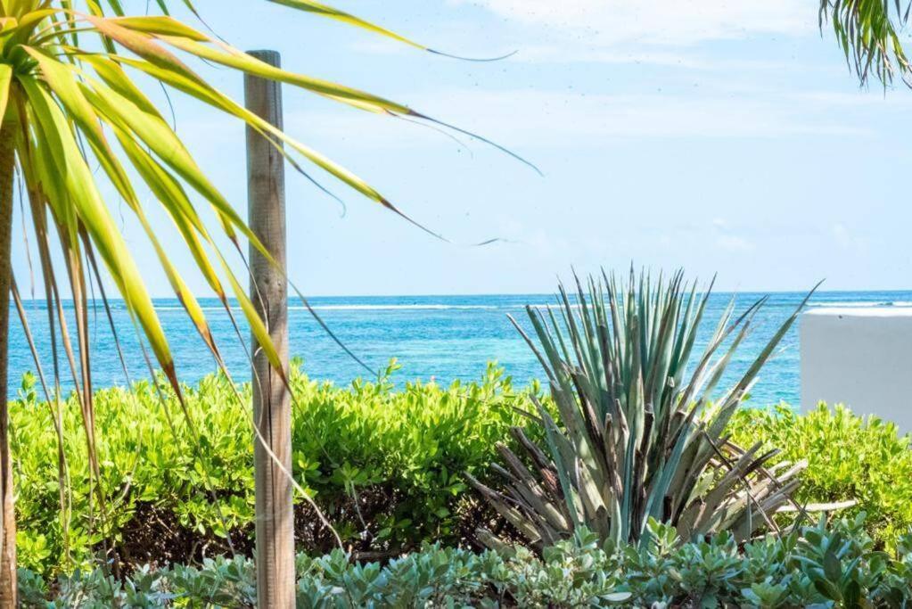 Pasha - Ocean View Apartment *