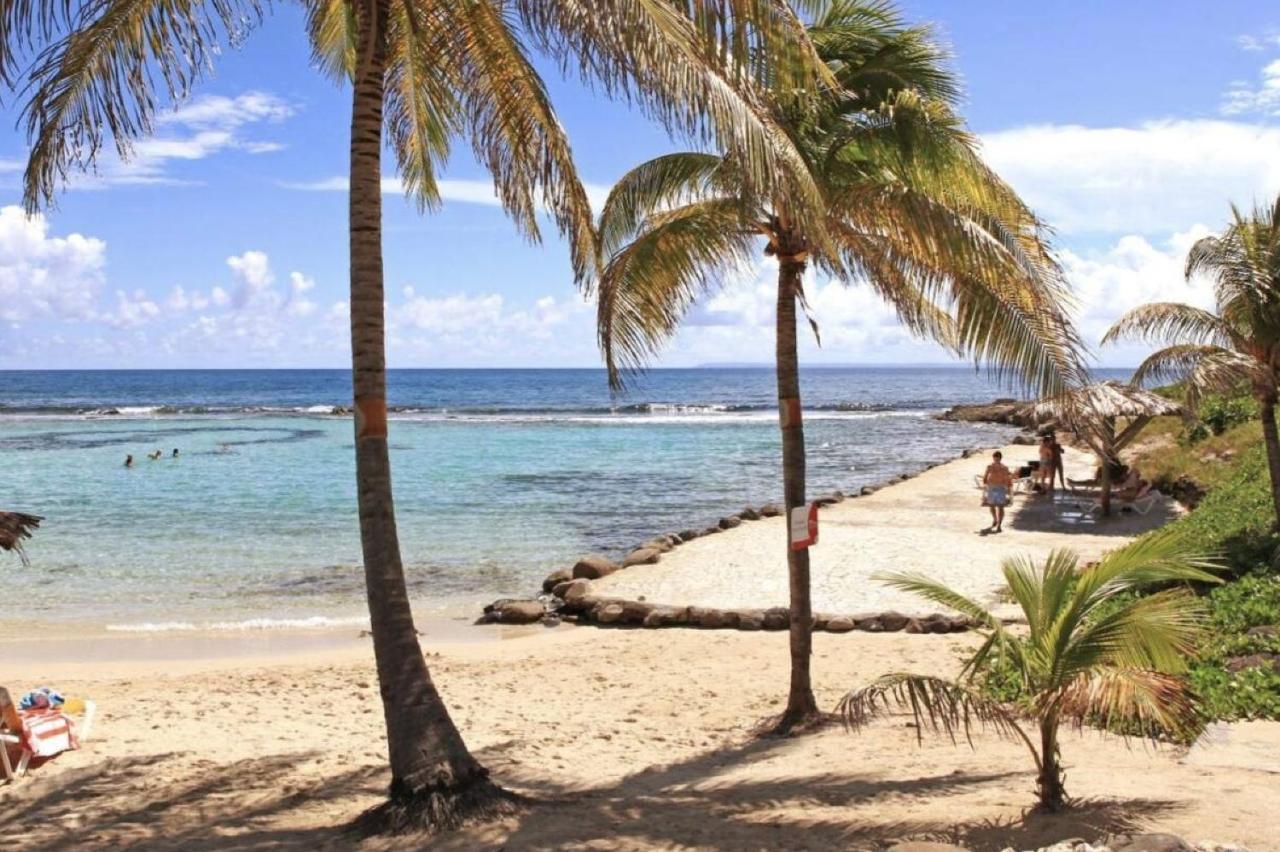 Archipel - Cocon D'une Architecte En Guadeloupe * Saint-Francois (Grande-Terre)