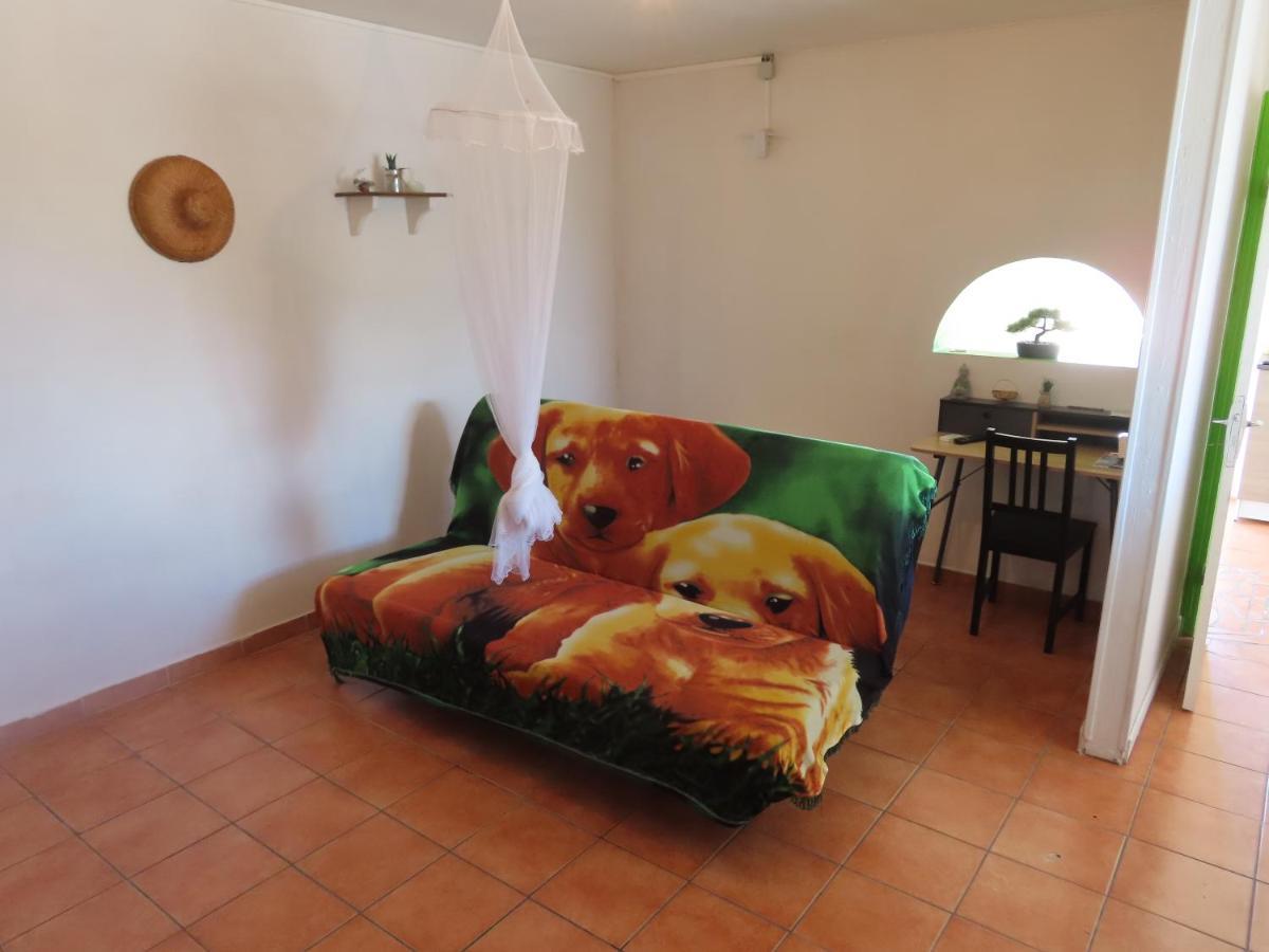 Apartment De Bas :l'ile Merveilleuse