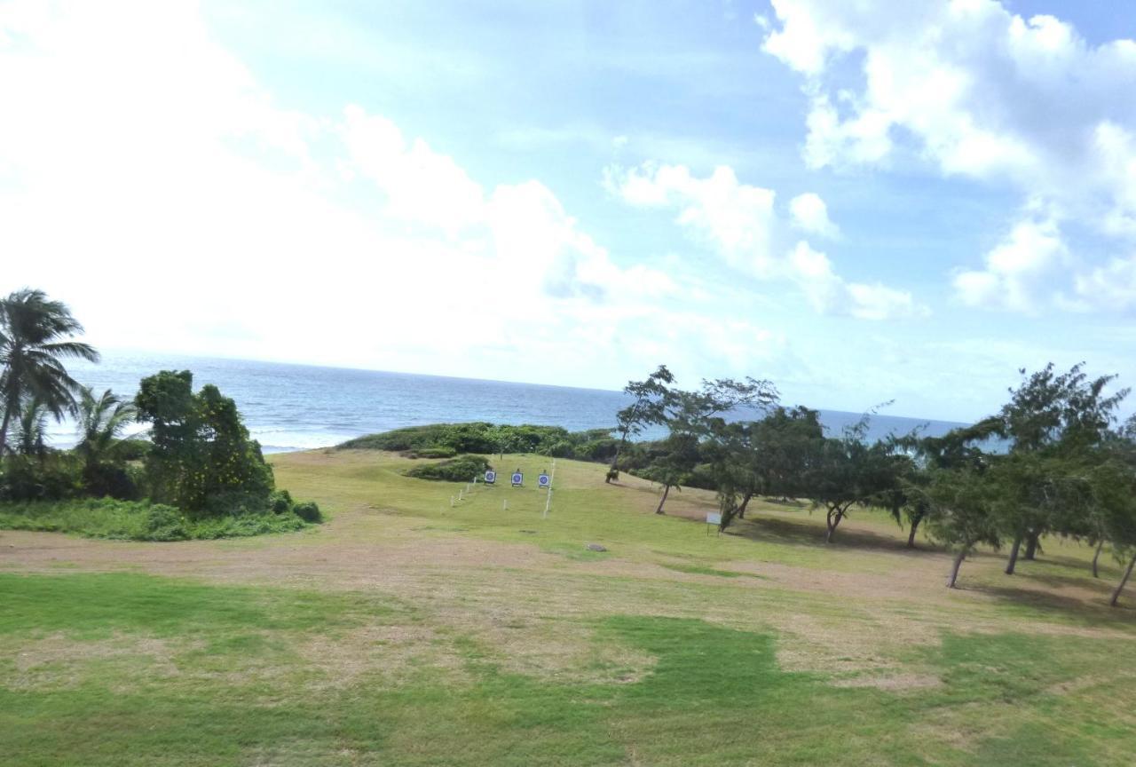Barbadine - Flats Sainte-Anne (Grande-Terre)