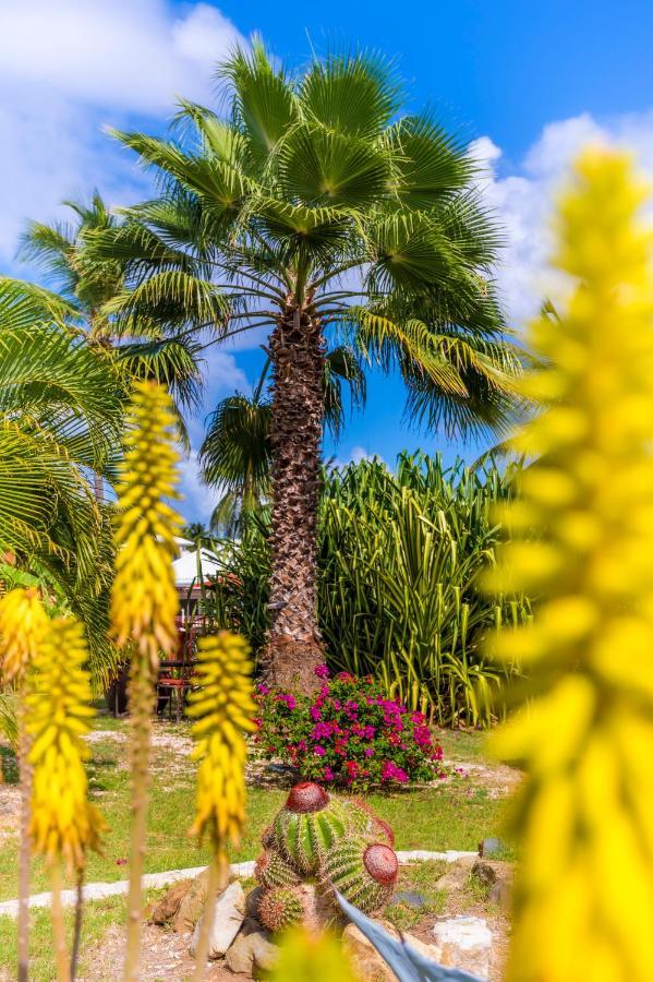 Hotel Orient Bay Palm Court 4 Stars 4*