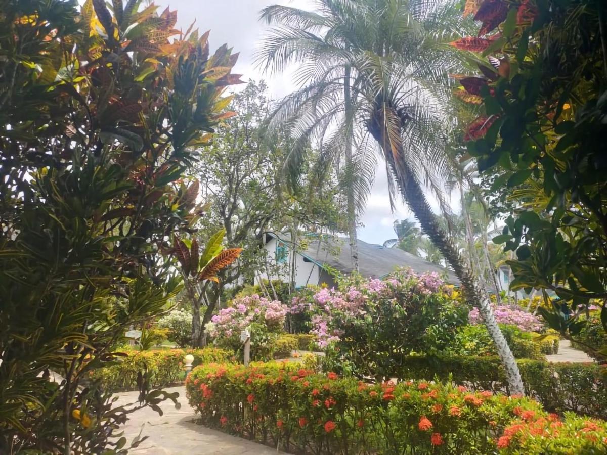 Palmas Eco Inn