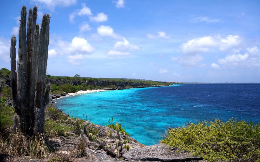 Dormio Village Bonaire