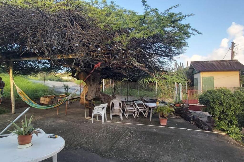 Casa Aichi Holiday home Willemstad
