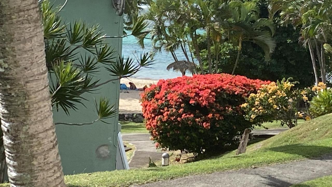 Brin D'ile Anse Des Rochers Vue A 50 M De La Et Piscine Apartment