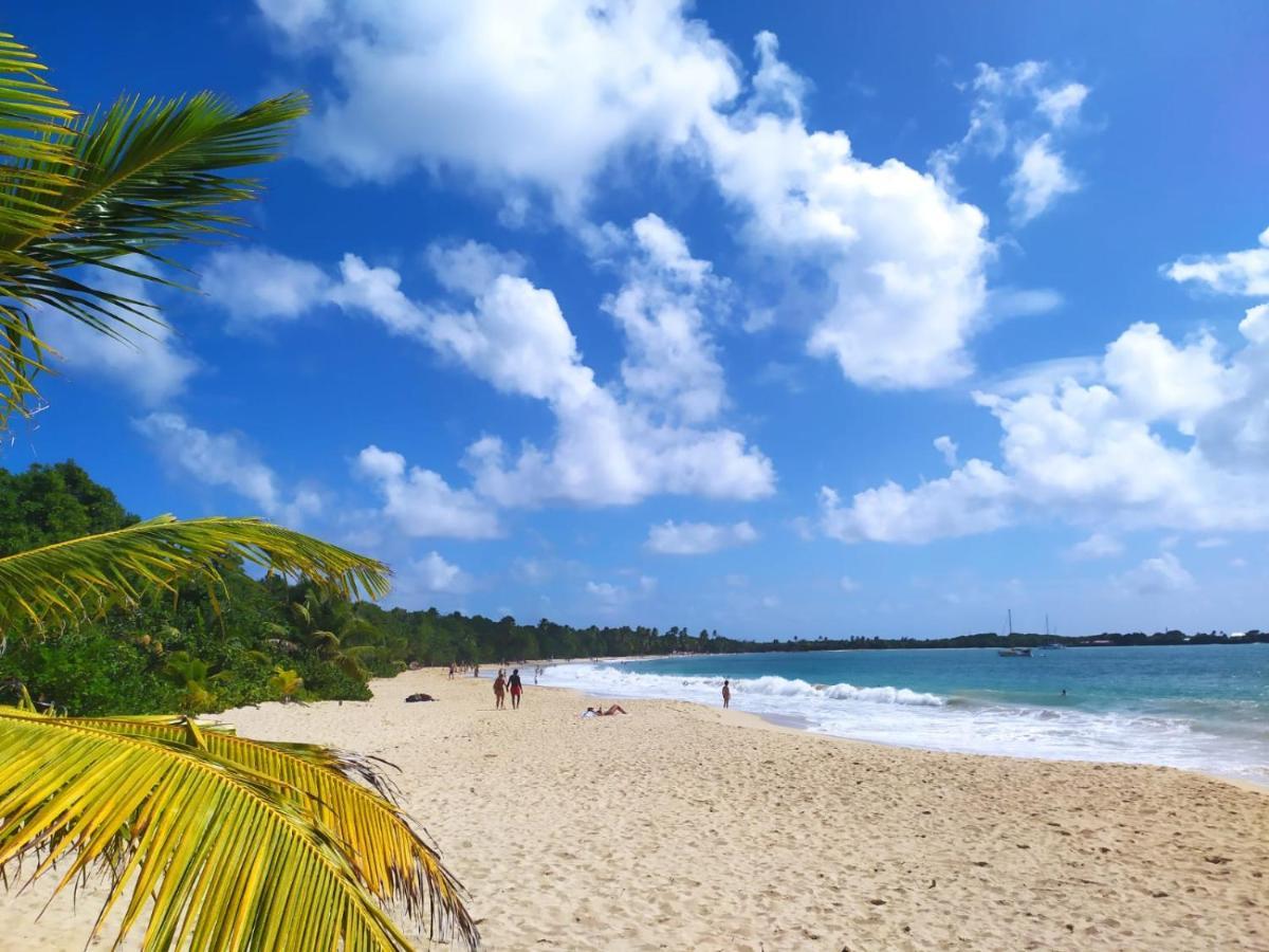 Imagine972 Martinique Bateau A Quai 3 3 Salles De Bains 6 Pers Maxi * Le Marin