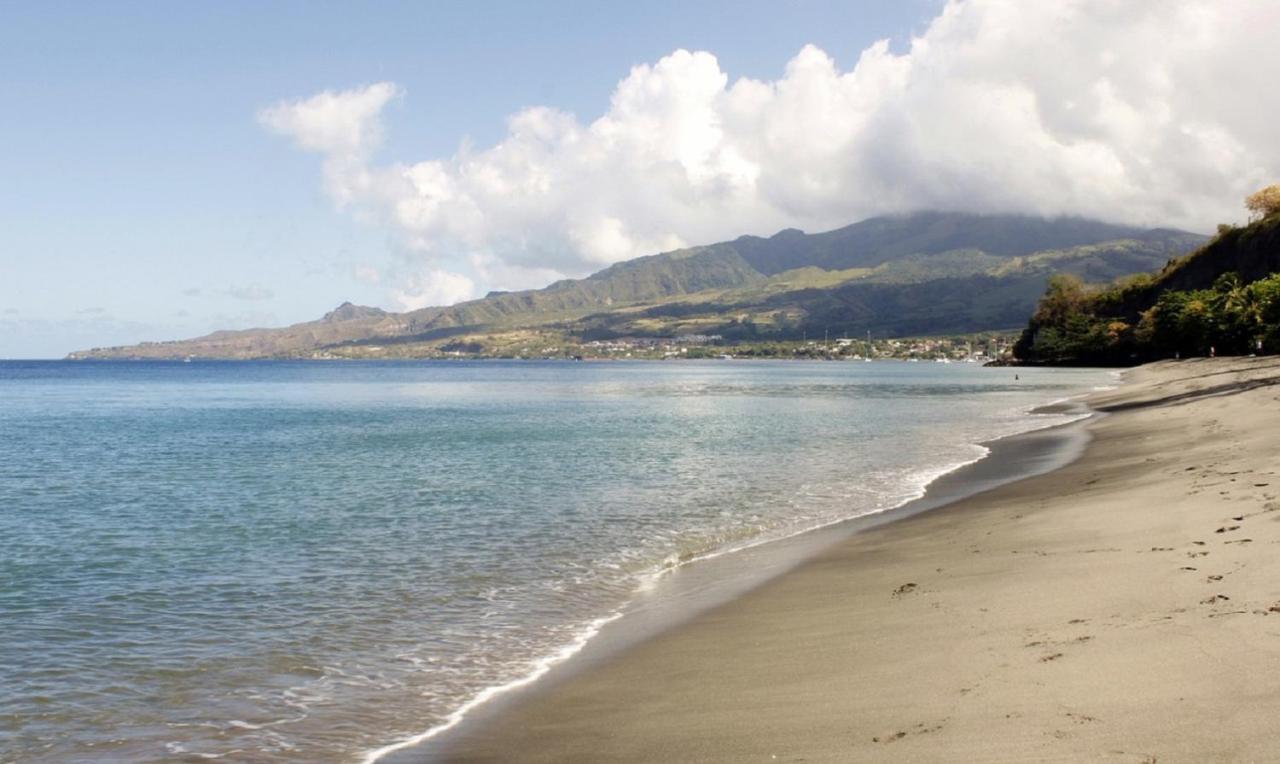 Imagine972 Martinique Bateau A Quai 3 3 Salles De Bains 6 Pers Maxi Le Marin