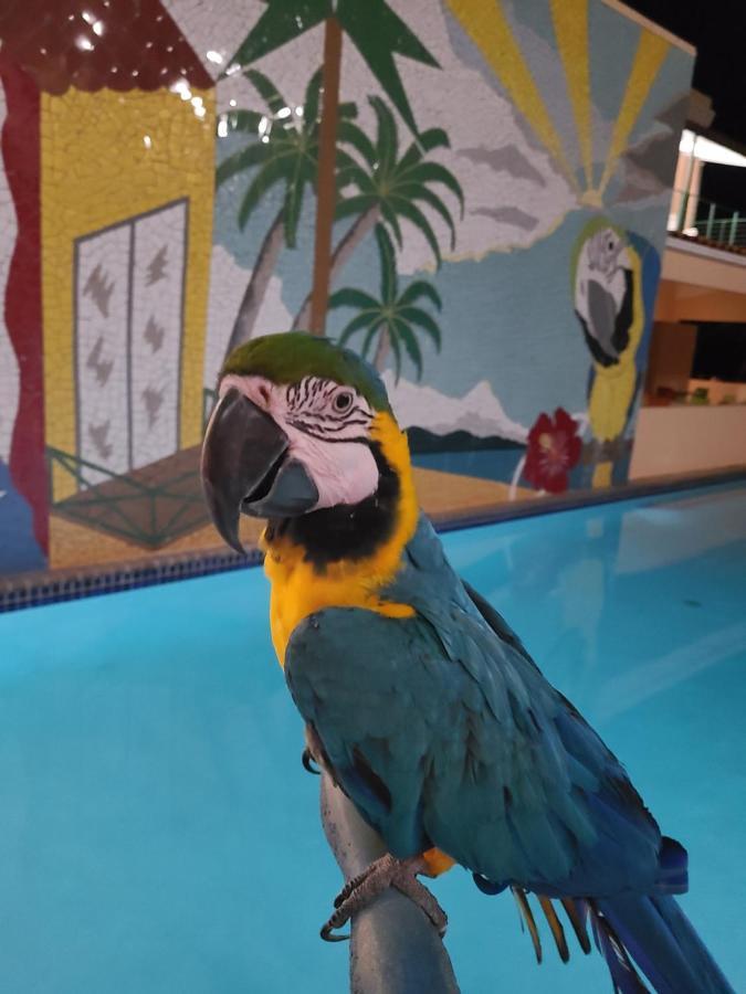 Hotel Palmas De Lucia 2*