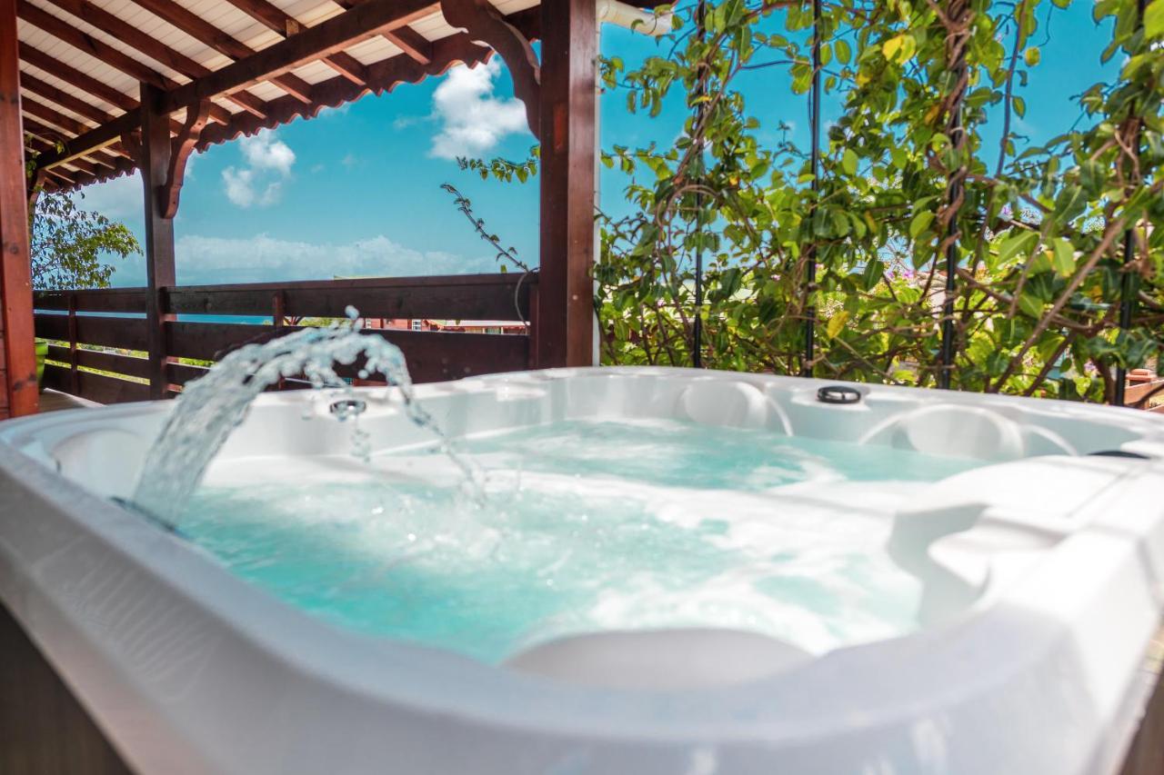 Domainde De Meilly - M&p Concept Vue Jacuzzi Ou Piscine Saint-Louis