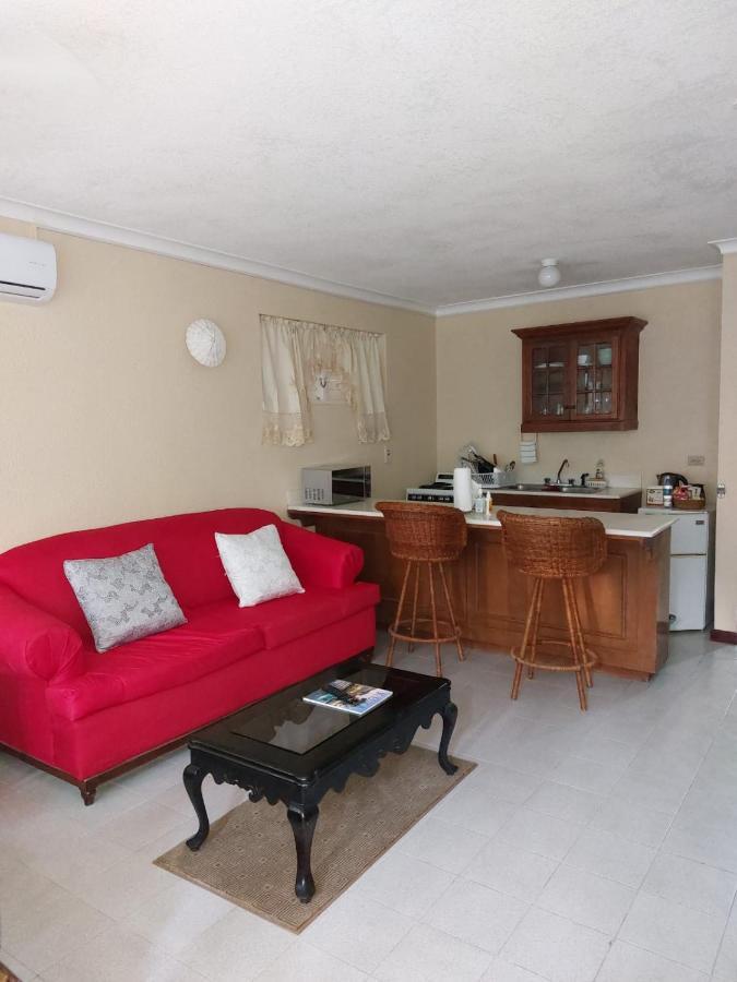 Cozy Escape Apartamento
