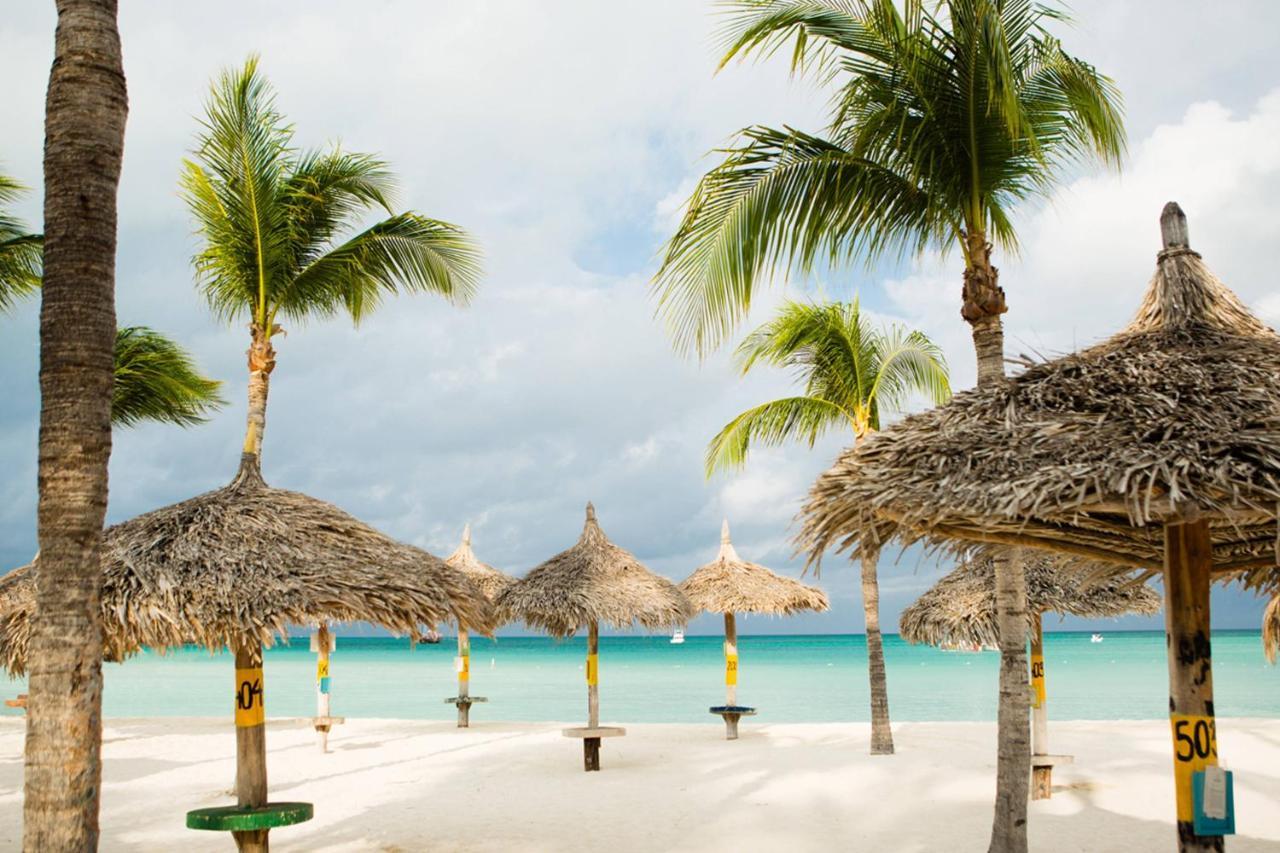Aruba Marriott & Stellaris Casino Resort Palm Beach