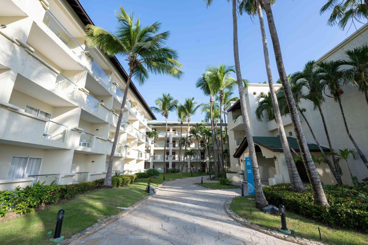 Coral Costa Caribe