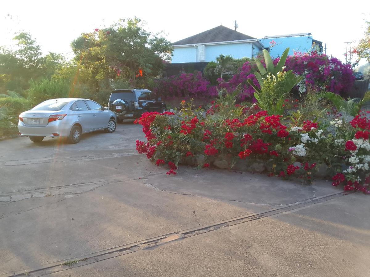Tranquility Estate Kingston