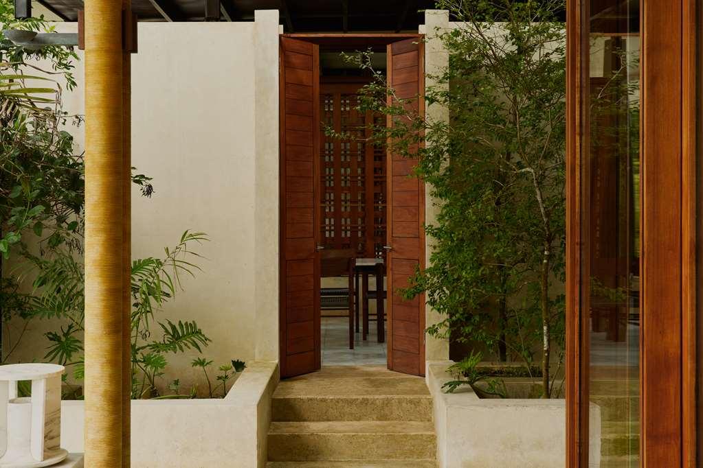 Amanera