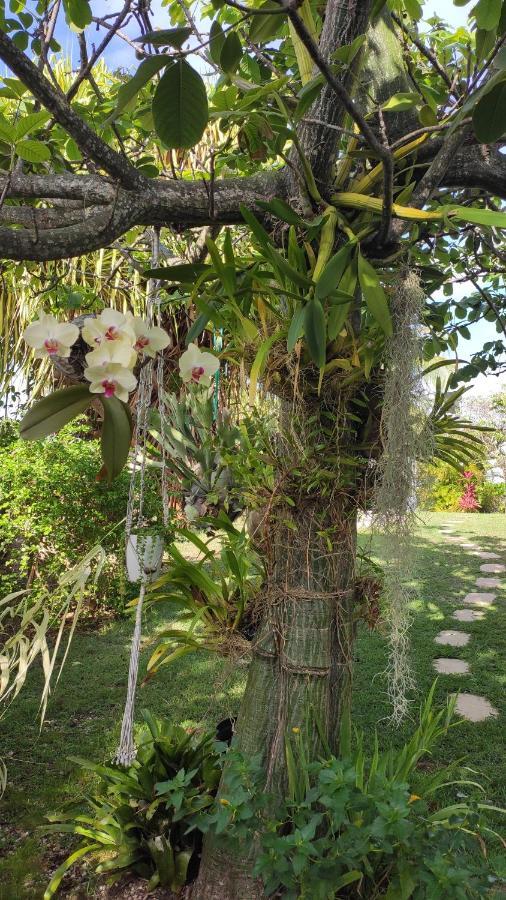 Titemarina * Le Gosier (Grande-Terre)
