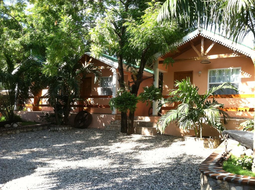 Palm 3*