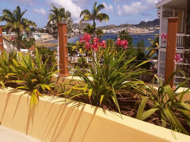 Ocean Terrace