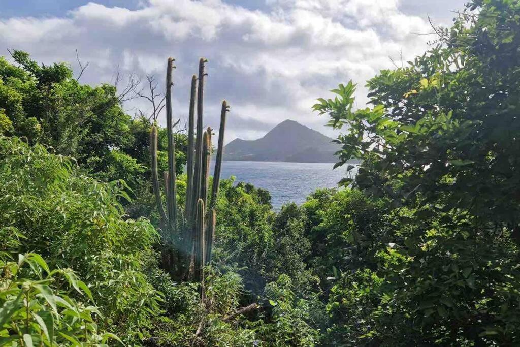 Salako, - Bas De * Terre-de-Bas