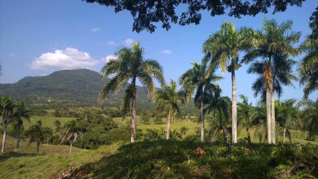 Campsite Camping National Park Close To Beach Puerto Plata