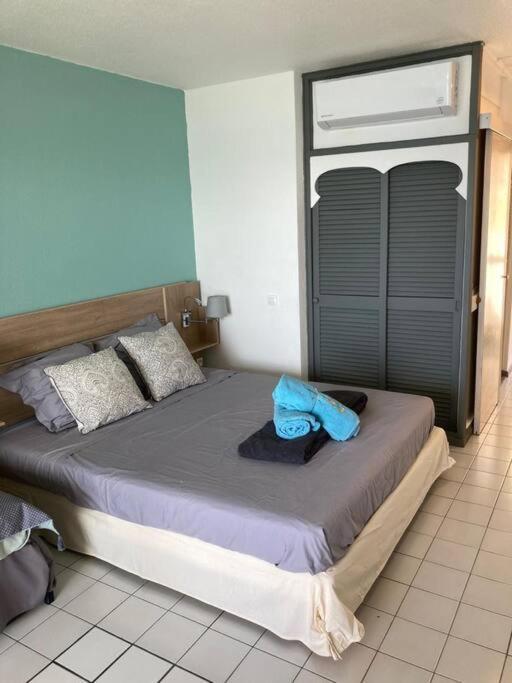Apartment Vue Et Rocher Du Diamant Antilles