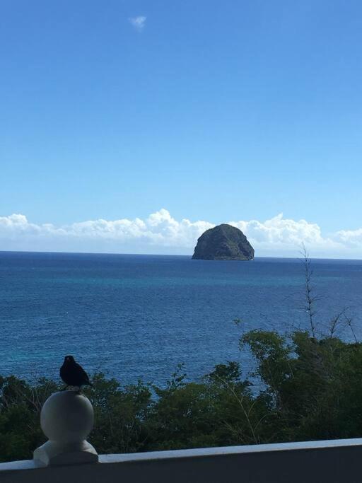 Vue Et Rocher Du Diamant Antilles Apartment *