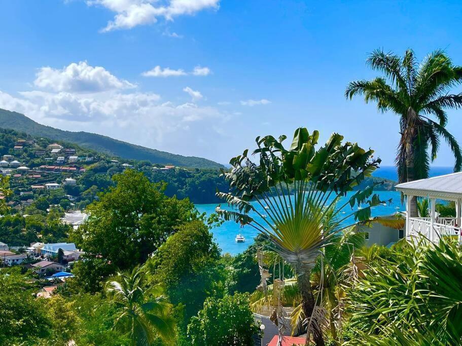 Dezil - De Standing 6/8 Pers - Piscine Villa Les Trois-Ilets