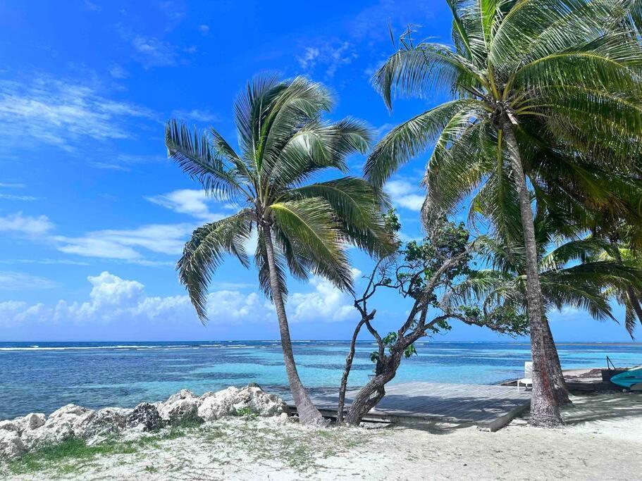 Unique : Pieds Dans L'eau Face Au Lagon Sainte-Anne (Grande-Terre)