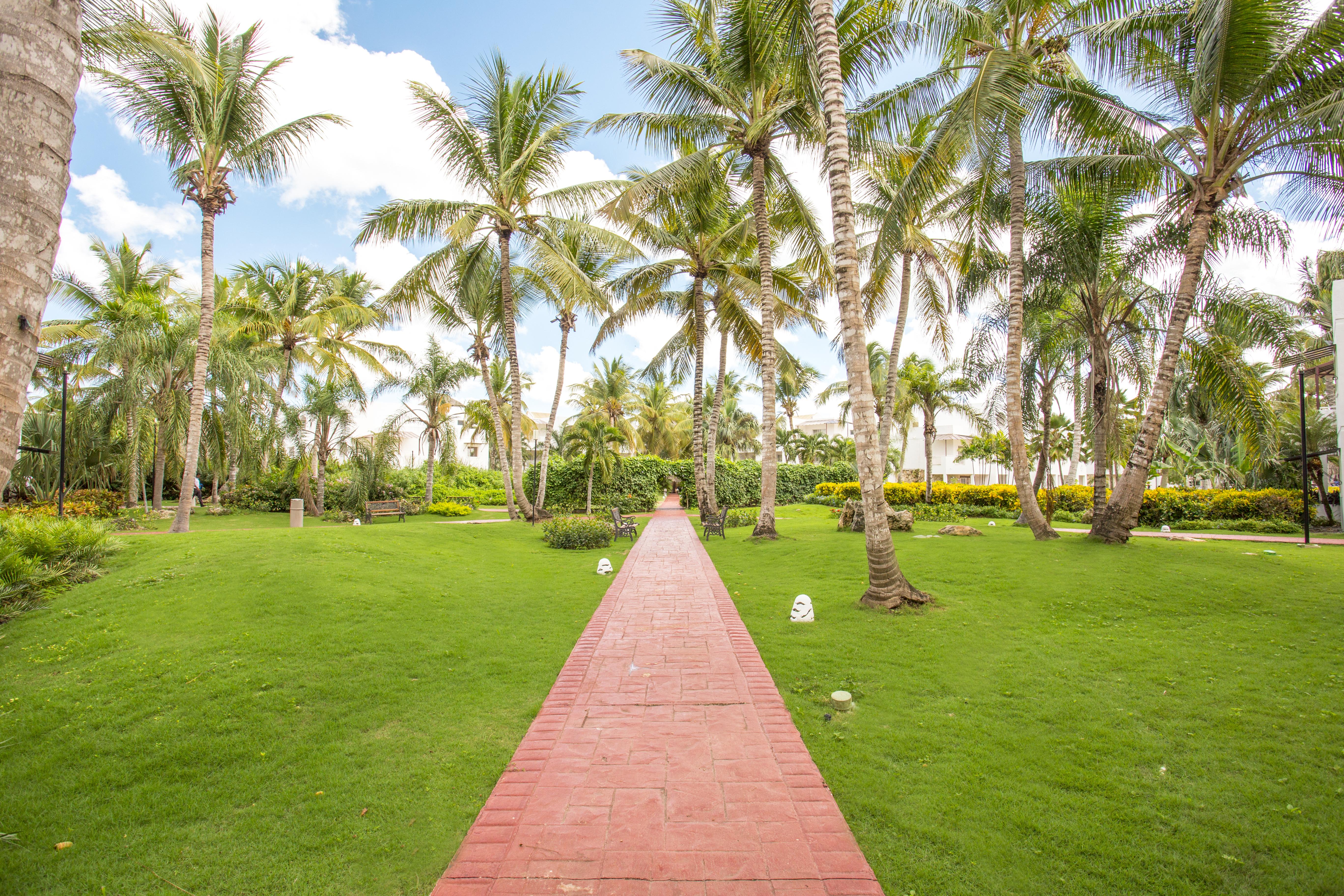 Be Live Collection Canoa Resort Bayahibe