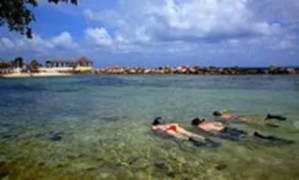 Club Ambiance (adults Only) Hotel Runaway Bay