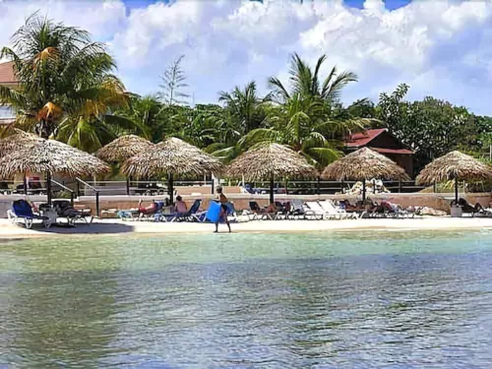 Club Ambiance (adults Only) 3*